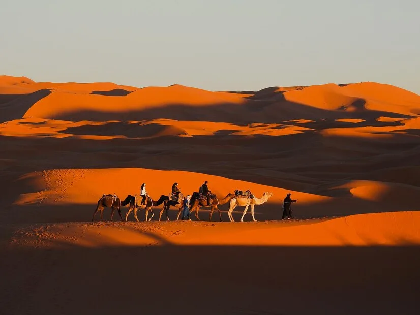 Sahara Desert expedition